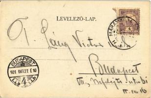 1901 Máramarossziget, Sighetu Marmatiei; Református lyceum / Calvinist Lyceum, school