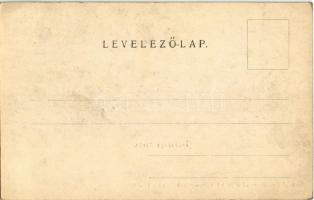 Erdőbénye, fürdő. Szabó fivérek kiadása