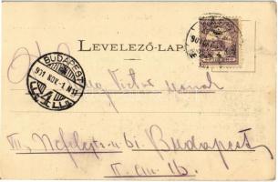 1901 Kassa, Kosice; MÁV indóház, vasútállomás, Széchenyi rét, zenepavilon. László Béla kiadása / rai...