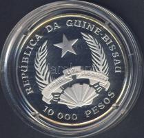 Guinea-Bissau 1993. 10.000P Ag "Stegosaurus" T:PP