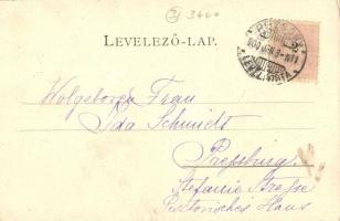 1900 Pozsony, Pressburg, Bratislava; Városi színház, villamos. Kiadja Schmidt Edgar / theater, tram