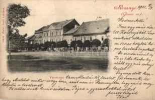 1901 Rozsnyó, Roznava; Városháza. Kiadja Falvi Jenő / town hall (apró szakadás / tiny tear)