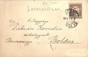 1901 Rozsnyó, Roznava; Városháza. Kiadja Falvi Jenő / town hall (apró szakadás / tiny tear)