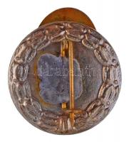 ~1930-1940. "Állami Csokonai Vitéz Mihály Gimnázium" zománcozott jelvény (21,5x24mm) T:2