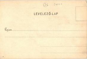 Pöstyén, Pistyan, Piestany; Park villa. Kiadja Julius Lampl / villa (vágott / cut)