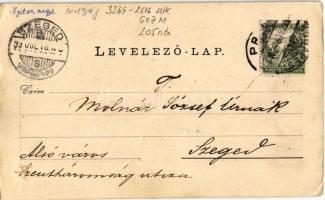 1899 Privigye, Prievidza; látkép templommal / general view with church  (EK)