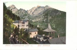 Tátra, Magas Tátra, Vysoké Tatry; Tarpatakfüred szálloda, Lomnici csúcs. Kiadja Cattarino 121. / Hotel Kohlbach, Lomnitzerspitze / Lomnicky stít / hotel and mountain peak