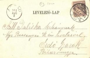 1901 Nagyvárad, Oradea; Hídfő, Neumann M., Nemes Mihály, Bartos Bódog üzlete. Kiadja Helyfi László /...