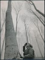 Természet és építészet, jelzett és jelzés nélküli fotók, 4 db, 17×10 és 23×18 cm