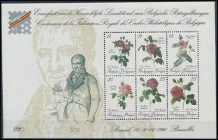 1990 Nemzetközi Bélyegkiállítás blokk, International Stamp Exhibition block Mi 61
