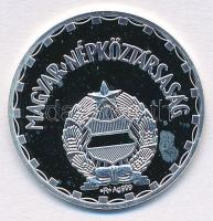 1970. 2Ft Ag jelzett replika (3,08g/0.999) T:PP kis fo