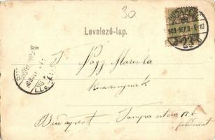 1903 Budapest II. Hűvösvölgy, Villamos vasúti részlet. Kiadja Schwarz J. (fl)