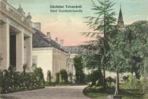 1915 Tolcsva, Báró Waldbott kastély (EK)