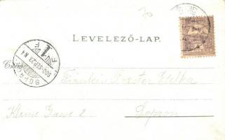 1900 Győr, Széchenyi tér, üzletek, ünnepség, tömeg. Kiadja Berecz Viktor 3588. Art Nouveau, floral, ...