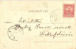 1905 Aba, Sár-Aba; Gróf Gorcey kastély (Zichy-Bolváry kastély). Kiadja Braun József (EK)