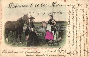 Hortobágy és Hódmezővásárhely - 6 db régi képeslap vegyes minőségben / 6 pre-1945 postcards in mixed...