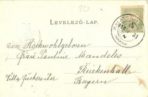 1900 Balatonföldvár, Zrínyi szálloda és athléta clubház, Villa Elsa. Kiadja Divald Károly (EK)