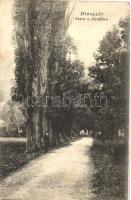 Miskolc és környéke - 8 db régi képeslap vegyes minőségben / 8 pre-1945 postcards in mixed condition