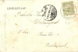 1907 Balatonföldvár, Rákosi Jenő nyaralója, villa. Art Nouveau keret (gyűrődés / crease)