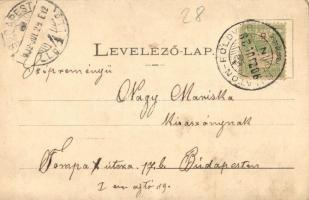 1902 Balatonföldvár, strand, fürdőzők, csónakázók. Kiadja Klösz György (fl)