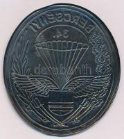 DN "Bercsényi 34. (Felderítő Zászlóalj)" zománcozott fém lemezérem (101x90mm) T:1-