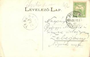 1903  Zsibó, Jibou; Kir. Járásbíróság, Br. Wesselényi kastély / district court, castle. Floral (fl)