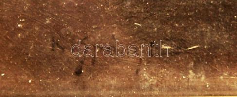 1913 K. Spányi Béla (1852-1914) Alföldi táj gólyával; szignált, olaj, vászon, keretben 110x85 cm