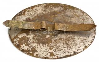 1931 Hálókocsi társaság 25 éves szolgálati jubileumra kiadott emlékplakett. 8,5 cm