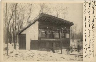 1924 Győr, Likócs méhes, méhészet méhkaptárral. photo (EK)