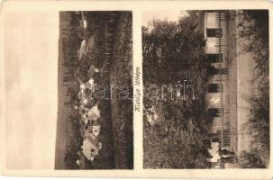 12 db RÉGI képeslap, főleg magyar városok, két motívumlappal / 12 pre-1945 postcards, mostly Hungari...