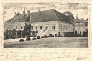 1906 Nagylévárd, Velké Leváre; Gróf Wenckheim kastély / castle (EK)