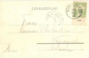 1906 Nagylévárd, Velké Leváre; Gróf Wenckheim kastély / castle (EK)