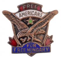 DN Szabad amerikaiak, szabad Magyarországért (Free Americans For Free Hungary) zománcozott fém jelvény (21x20mm) T:2