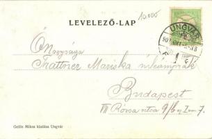 1907 Ungvár, Uzshorod, Uzhorod; Kishíd utca, Mezei Gyula, Schwartz Lipót, Rubin Majer üzlete, Gyógys...