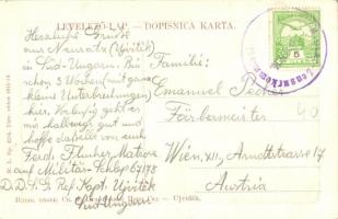 Újvidék, Novi Sad; Városháza, háttérben a zsinagóga, izraelita templom. W. L. Bp. 4214. / town hall,...