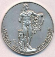 Olaszország 1995. "Vatikáni Múzeum / Belvederei Apollón" jelzett Ag emlékérem dísztokban, ...