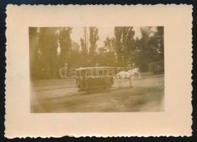 cca 1910-1920 Vasúti lovaskocsi egyenruhás hajtóval, poggyászok és utasok szállítása egy állomáson, fotó, 6×8,5 cm