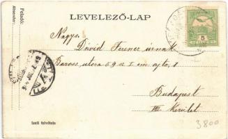 1906 Törökbálint, Villa telep. Izeli felvétele