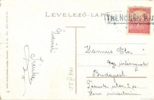 Trencsén, Trencín; vár / Trenciansky hrad / castle + 1918 Trencsén P.U. (EK)