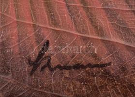 Olvashatatlan jelzéssel: Pipázó thai férfi, olaj, farost, 30,5×25 cm