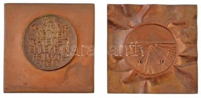 DN Az Ópusztaszeri Nemzeti Történeti Emlékpark Fejlesztéséért két darabos Br plakett, bőrtokban (85x85mm) T:1-