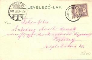 1901 Máriavölgy, Marienthal, Marianka; "POZSONY-BESZTERCE" mozgóposta