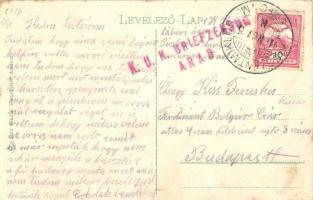 Arad, vár. Kiadja Kerpel Izsó / castle + 1916 K.u.K. Briefzensur Arad (EK)