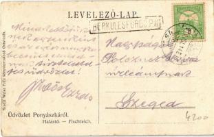 1910 Ponyászka, Poneasca (Bozovics, Bozovici); Halastó. Kiadja Weisz Félix / Fischteich / fish pond ...