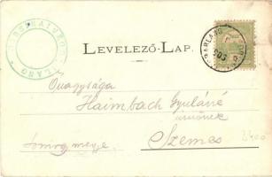 1905 Dobsina, Jégbarlang belső / ice cave interior