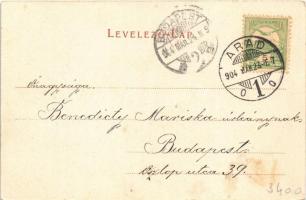 1904 Arad, Salacz park. Bloch H. nyomdája kiadása / park