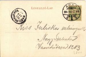 1904 Arad, Szentháromság-szobor, Nagy Lajos szállodája  Fehér Kereszthez, 1848-49-es Múzeum. Bloch H...