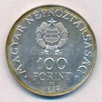 1972. 100Ft Ag "Budapest" T:BU patina
Adamo EM40
