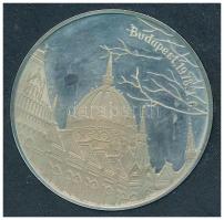 Fülöp Zoltán (1951-) 1978. "Koronázási jelvények" Ag emlékérem plasztiktokban tanúsítvánny...