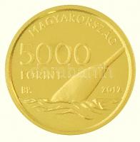 2012. 5000Ft Au "XXX. Nyári Olimpiai Játékok" tanúsítvánnyal (0,5g/0.999) T:P Hungary 2012...